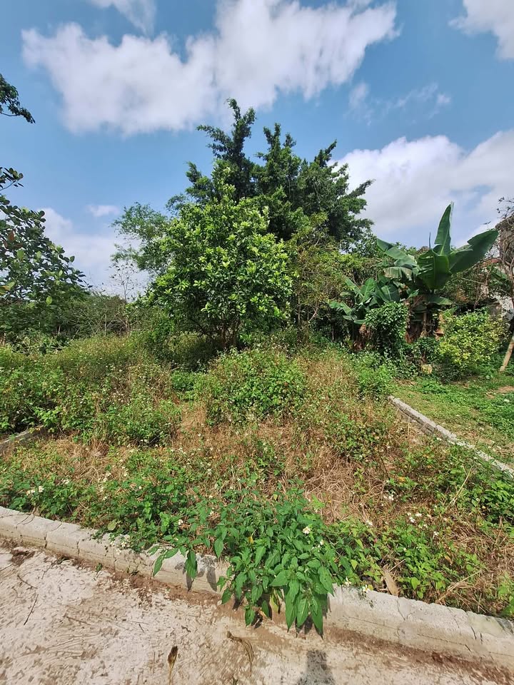 Bán đất Mỹ Tân, Nam Định 82m² giá 900 triệu - Vuông vắn, an cư