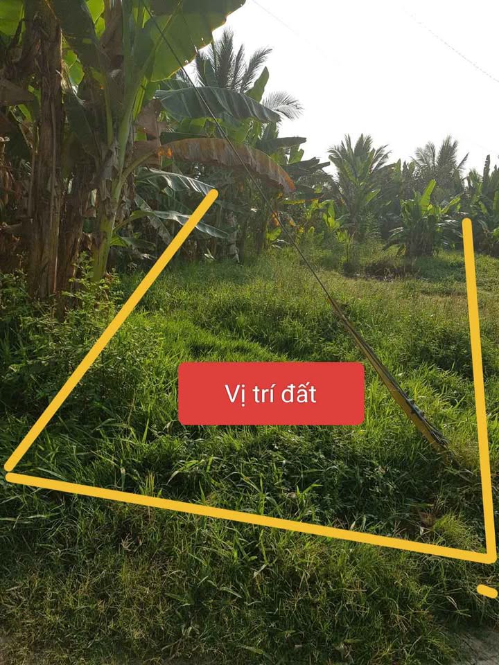 Đất Vườn Vĩnh Long 700m² - Giá 500 Triệu, Sẵn Sàng Lên Vườn