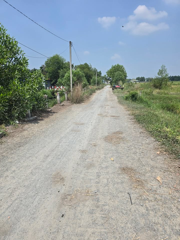 Bán Đất Vườn Củ Chi 3180m² - Sổ Đỏ Thổ Cư, Giá 11 Tỷ