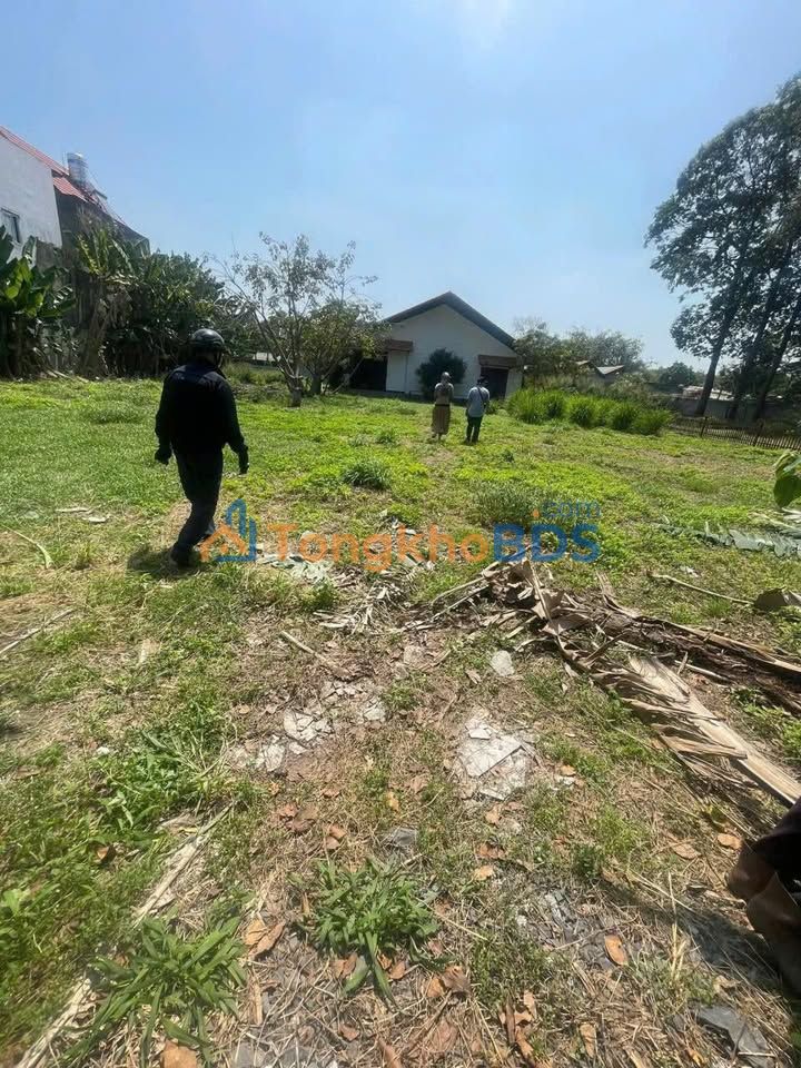 Cho thuê Nhà vườn Hóc Môn 1500m² - Nghỉ dưỡng, trồng trọt, chăn nuôi lý tưởng