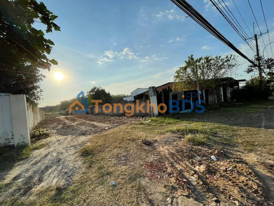 Bán Gấp Đất Mặt Tiền Nguyễn Thị Ranh Củ Chi 2409m² - Giá Ngộp 8 Tỷ