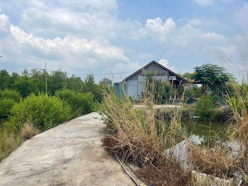 Đất Vườn 2000m² Sổ Đỏ Riêng - Tặng Nhà Kiên Cố, Hồ Cá View Mát Tại Long Thành, Đồng Nai