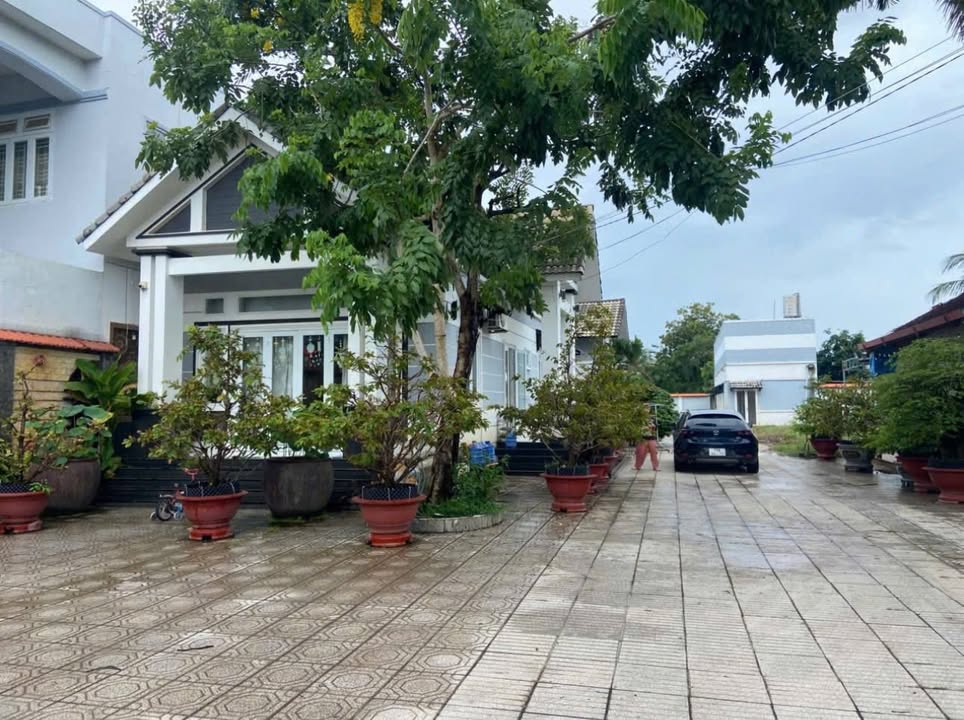 Đất Mặt Tiền QL22B Tây Ninh 1573m² - Kinh Doanh/Nghỉ Dưỡng Đắc Địa