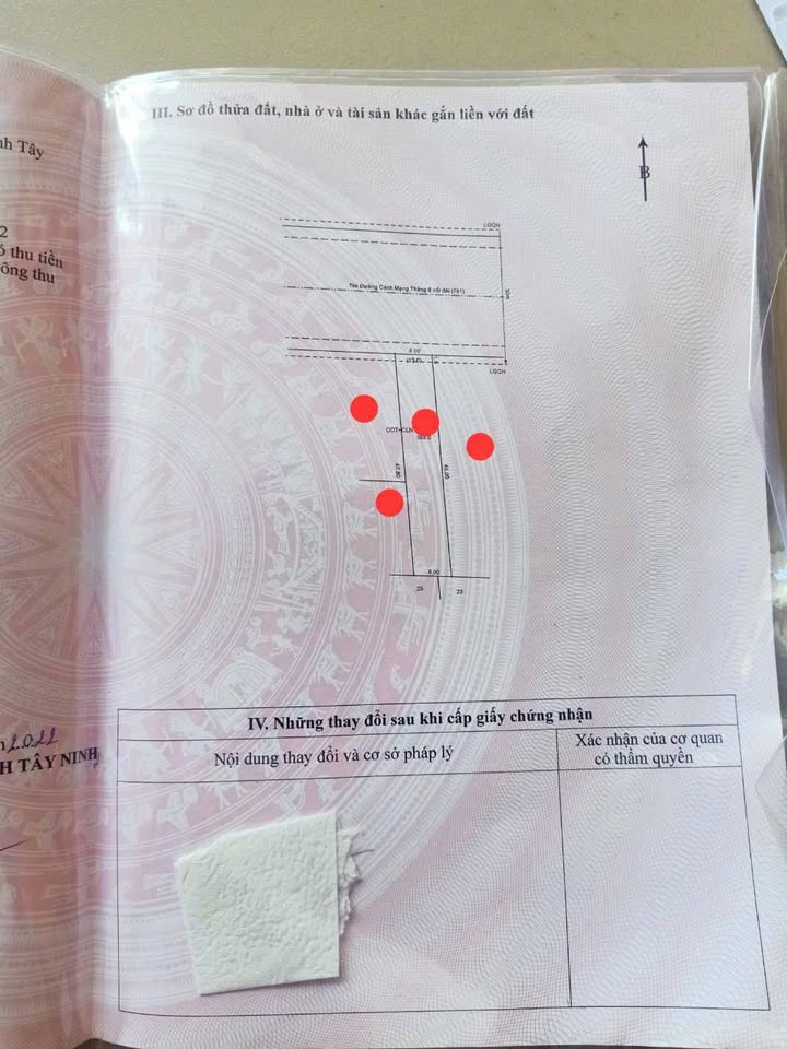 Đất Mặt Tiền CMT8 Tây Ninh - 360m² Kinh Doanh Đa Ngành - Tặng Nhà Cấp 4