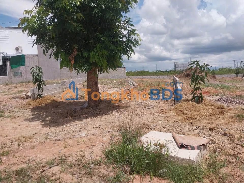 Bán Đất Thổ Cư Hàm Liêm, Bình Thuận - 209m² Full Thổ Cư, Giá Tốt