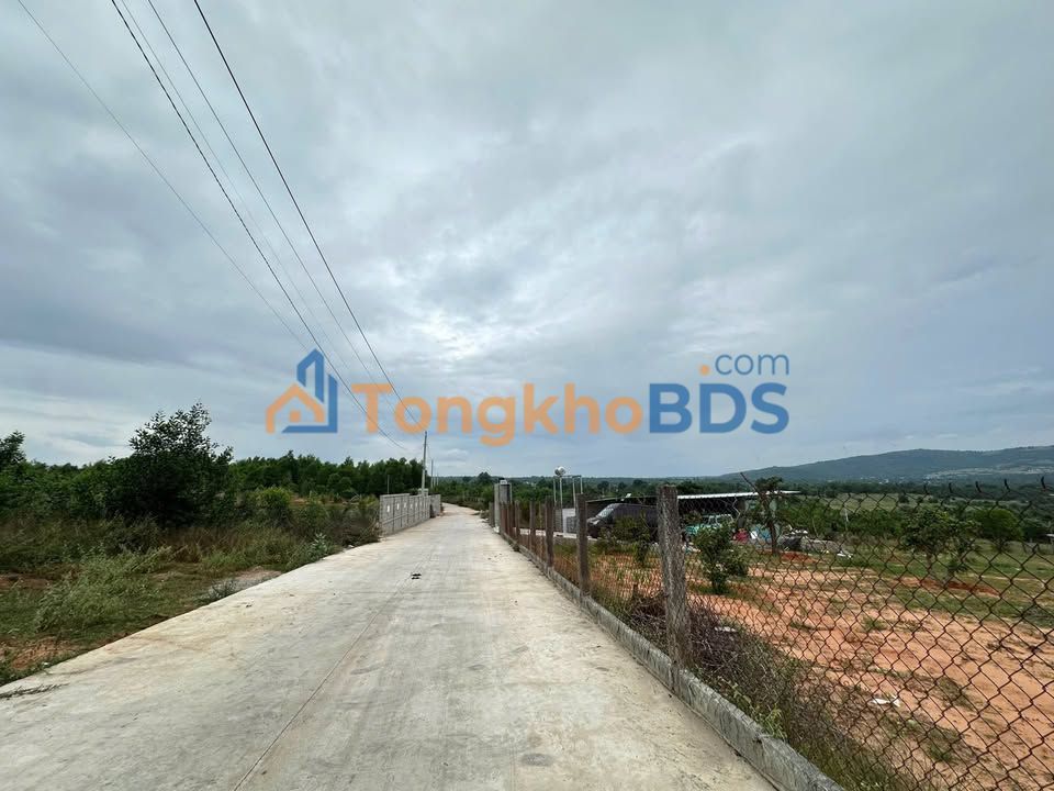 Bán Đất Vườn 10800m² Phường Mũi Né, Phan Thiết - Giá Đầu Tư 1.65 Tỷ