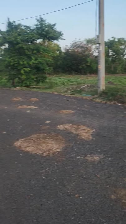 Bán đất 1700m² Mặt tiền đường nhựa Hồ Tràm - Giá 1.5 tỷ