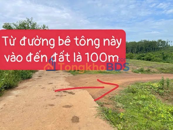 Đất Nền 2000m² Đồng Nai - Sổ Đỏ Riêng, Giá 190 Triệu/Lô