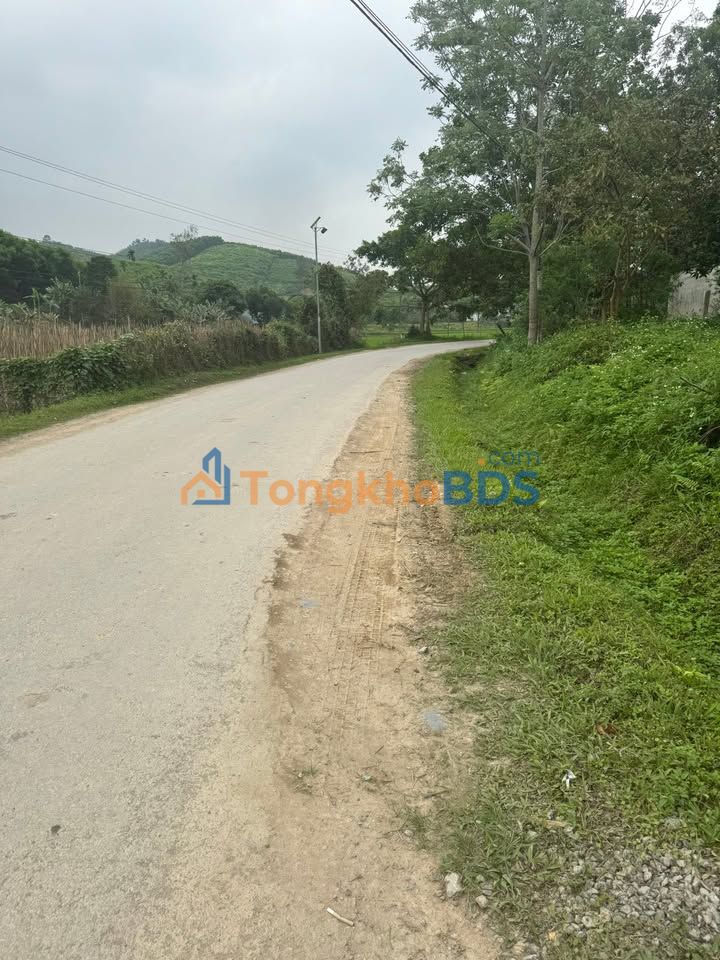 Bán Đất Tặng Nhà Cấp 4 Trục Chính Hóa Quỳ, Như Xuân - 224m² Giá Đầu Tư