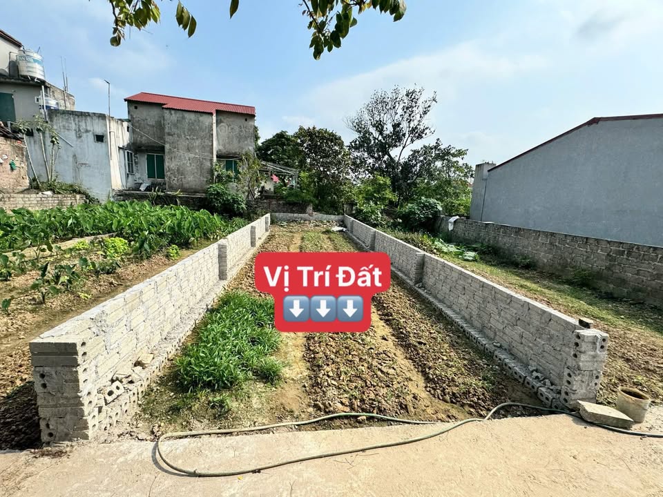 Bán Đất 63.1m² Ứng Hòa, Hà Nội - Sổ Đỏ Chính Chủ, Giá Tốt