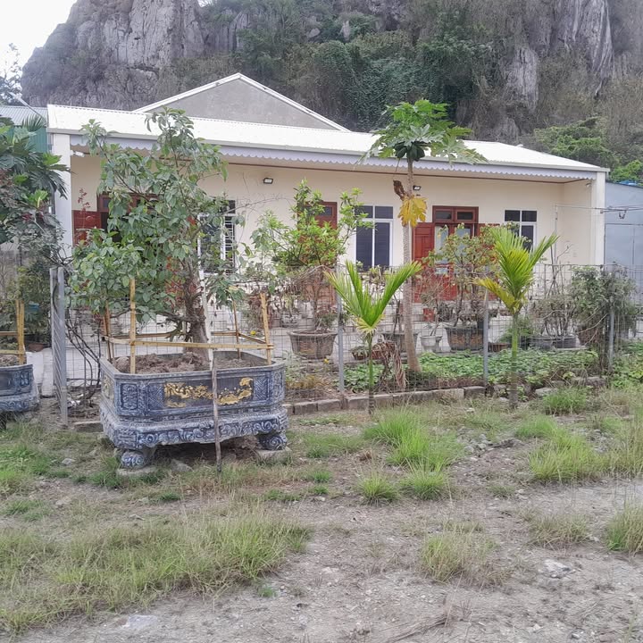 Bán đất tặng nhà 550m² mặt tiền 15m Đường 388, Kinh Môn - Kinh doanh/Biệt thự