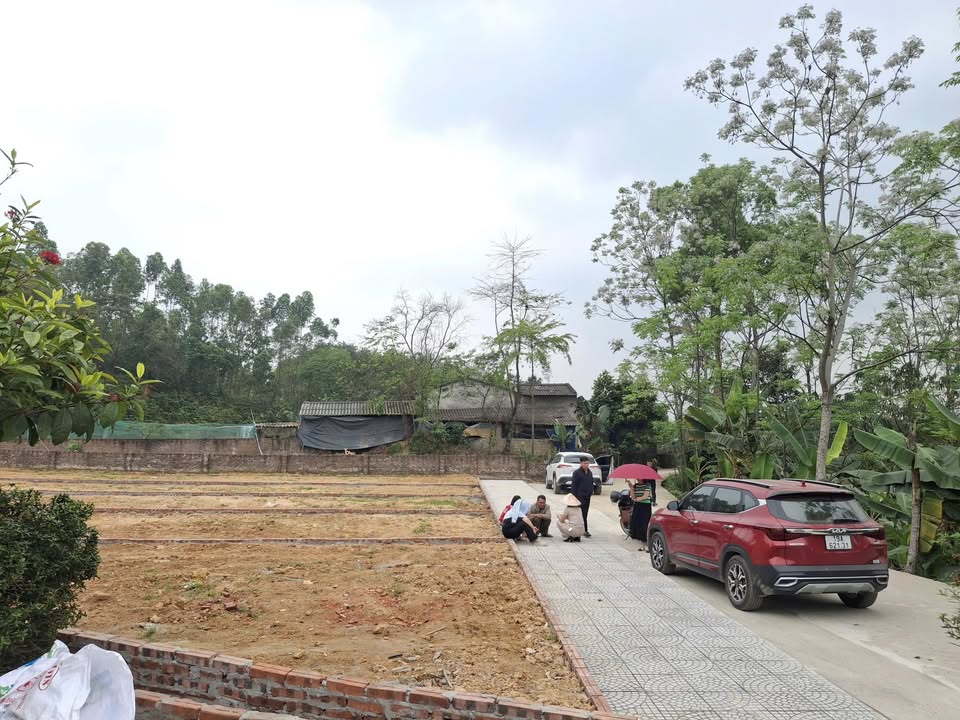 Đất nền Phú Thọ - Sổ hồng riêng, giá chỉ từ 100 triệu/nền