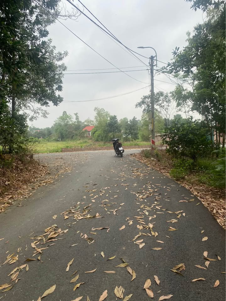 Đất nền 1000m² Xuân Sơn, Sơn Tây - Sẵn sàng làm nhà vườn, ô tô vào tận nơi