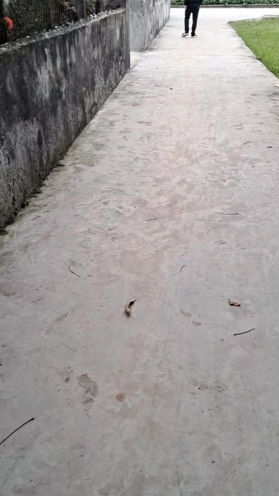 Đất Yên Bằng 100m² - Ngõ Ô Tô, Giá 950 Triệu - Sổ Đỏ Sẵn Sàng