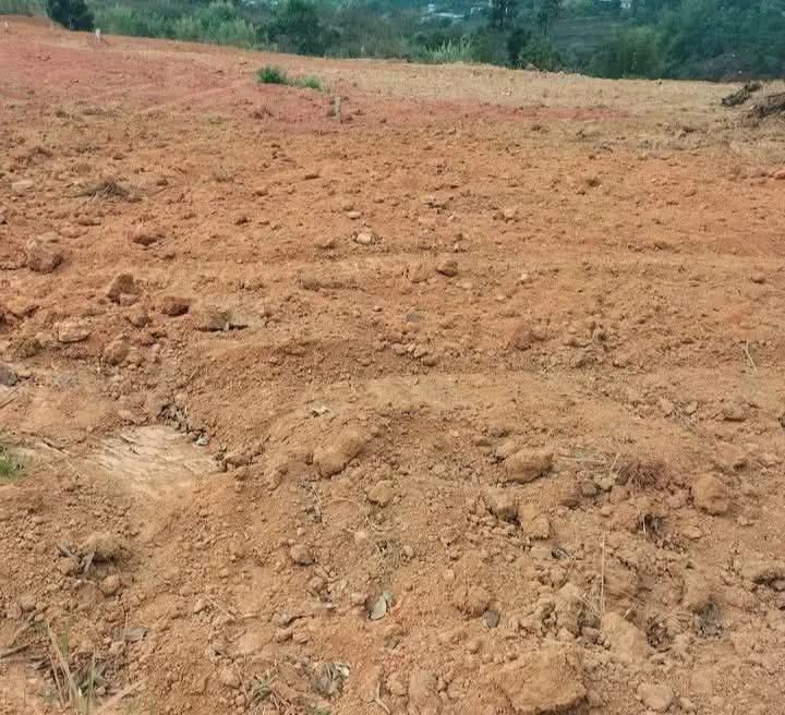 Cho thuê 20.000m² đất nông nghiệp tại Lâm Hà - Giá 100 triệu/năm