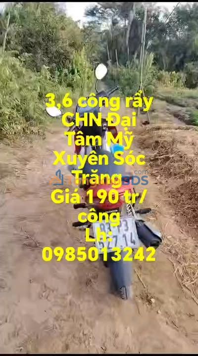 Bán Đất 3.6ha Sóc Trăng - Vị Trí Đắc Địa, Tiềm Năng Sinh Lời Cao