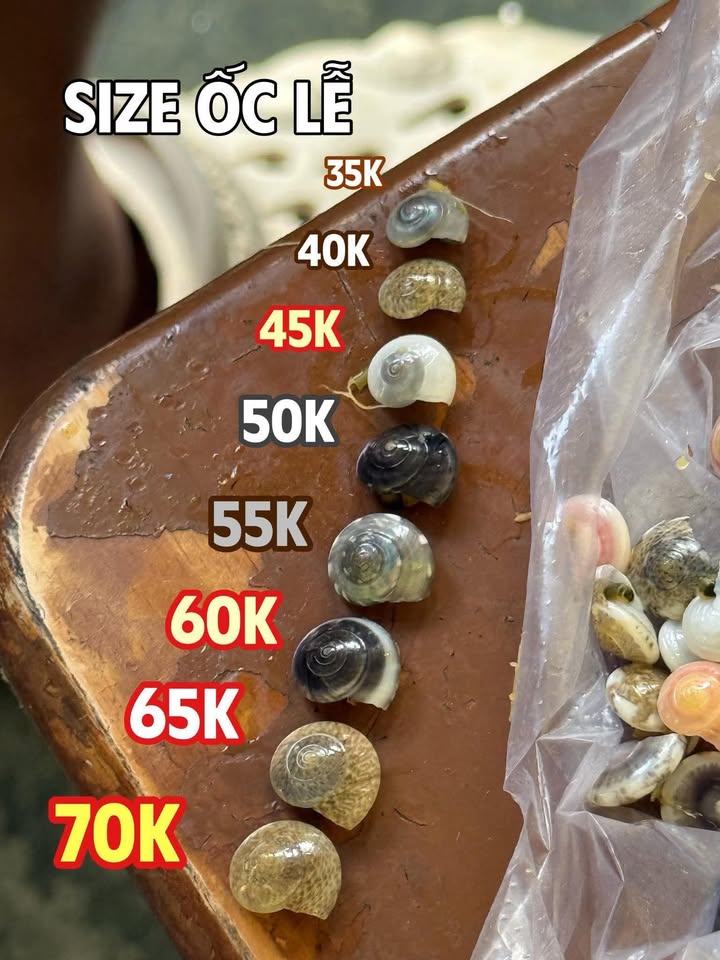 Nhà 4 Tầng Mặt Tiền Lê Lai, Đà Nẵng - 48m², 4PN, Giá 4.x Tỷ