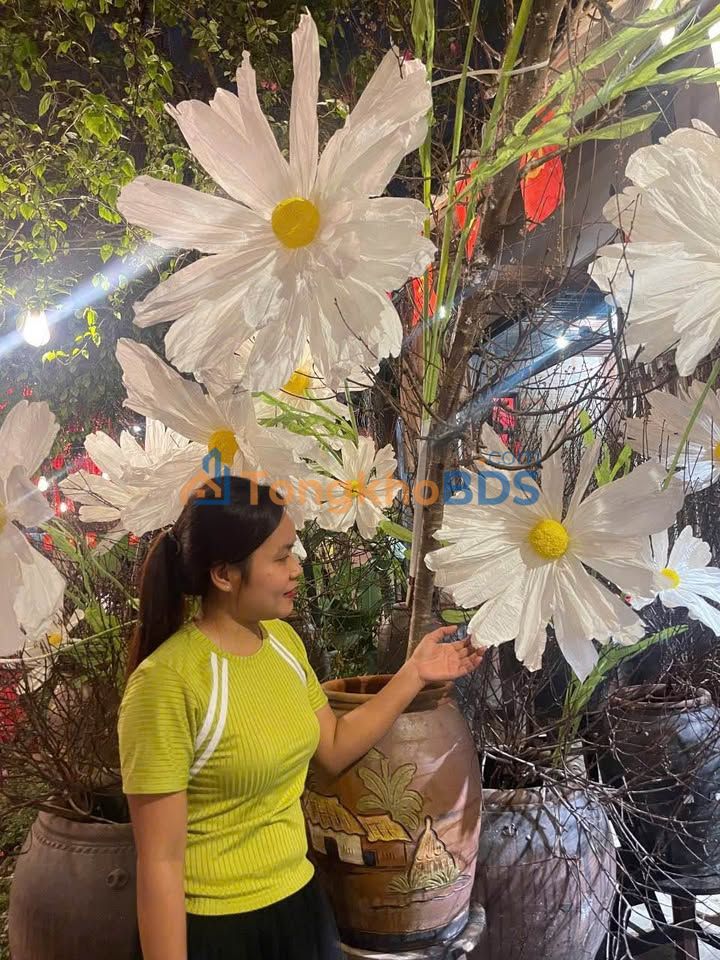 Bán Đất Kiệt Tôn Đản Cẩm Lệ 77m² - Oto Tới Tận Nơi