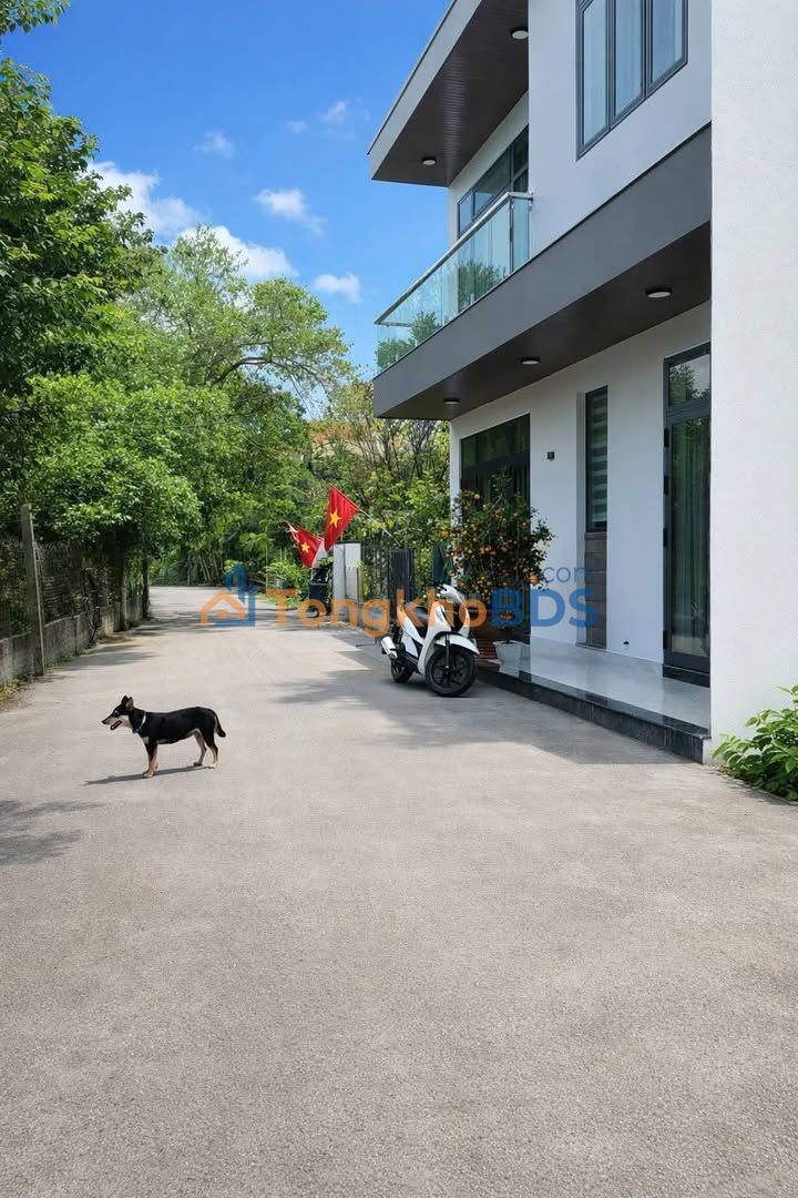 Đất nền Hòa Xuân Đà Nẵng 120m² - Sát trục chính, dân cư sầm uất!