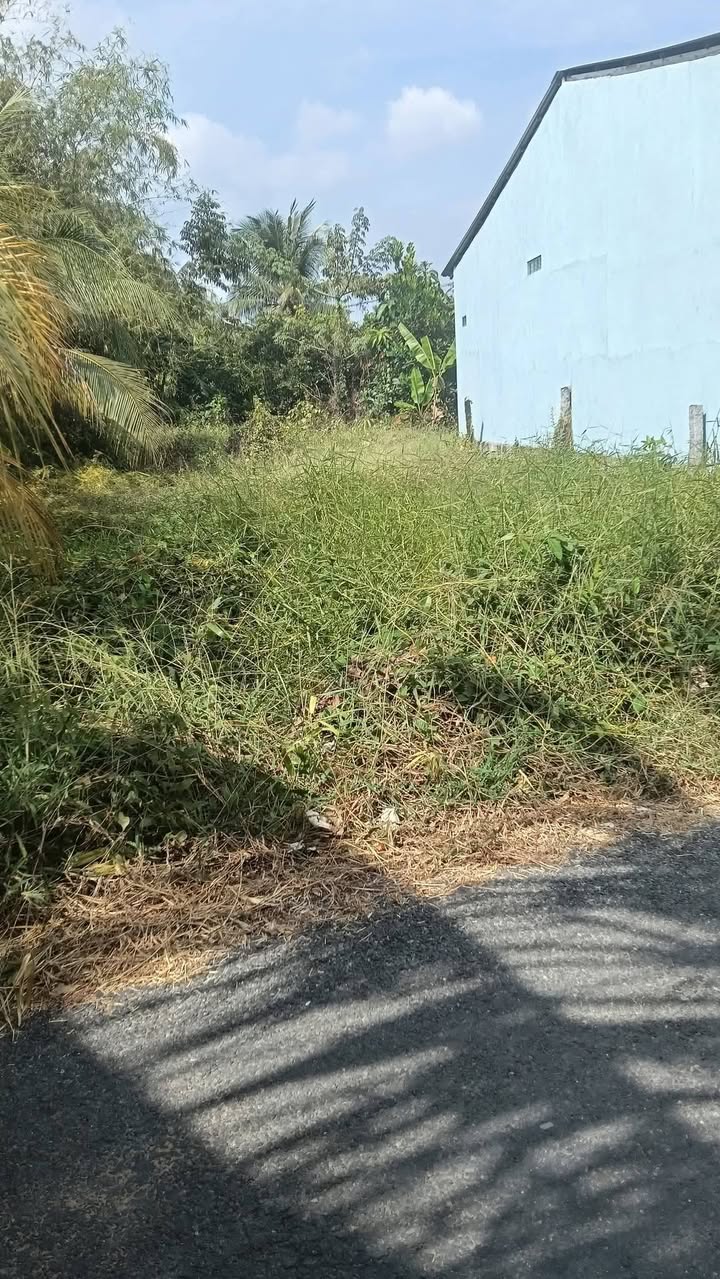 Đất Nền Rộng 276m² Mặt Tiền Đường Nhựa Cái Bè, Tiền Giang - Giá 870 Triệu