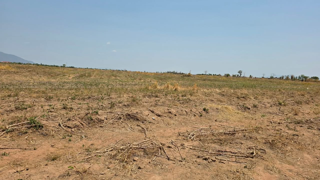 Bán Gấp 4.8ha Đất Nông Nghiệp Gia Lai - Sẵn Sàng Làm Vườn, Bao Nguồn Nước