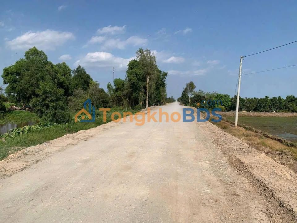 Bán 5 Công Đất Vườn Vuông Vắn - Tiền Giang, Sẵn Sàng Lên Vườn