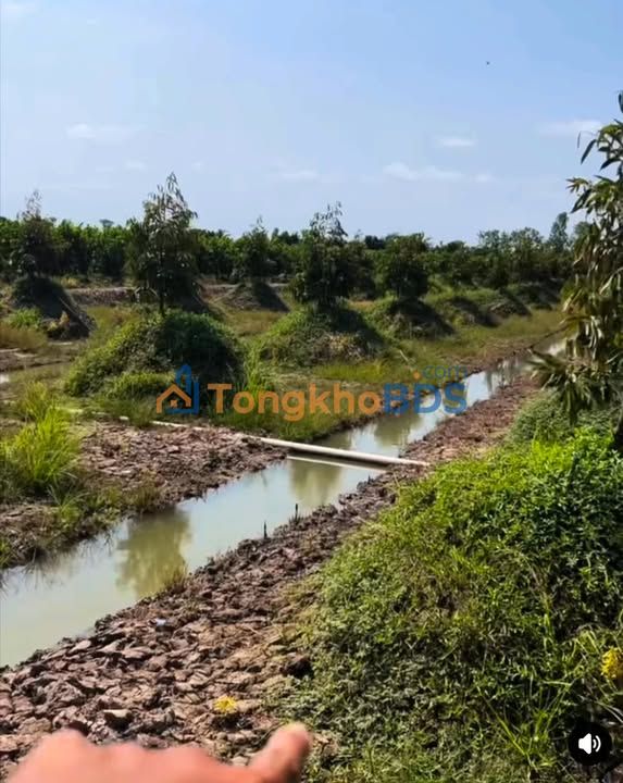 Đất Vườn Tiền Giang 16.8ha - Vườn Cây Ăn Trái Xanh Tốt, Giá Đầu Tư 3.7 Tỷ/ha