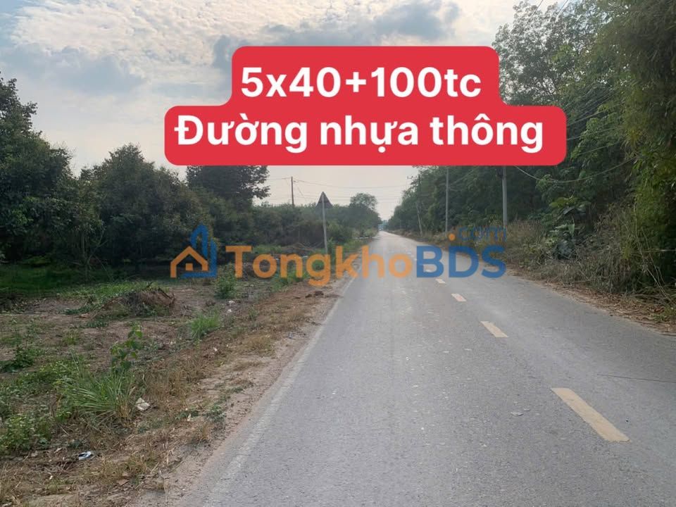 Đất Nền Bình Chánh 300m² - Đường Nhựa Lớn, Giá Đầu Tư Tốt