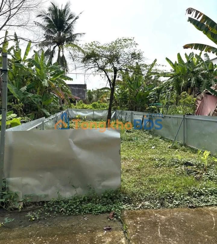 Bán Gấp Đất Nền Thổ Cư 104m² Đường Trương Vĩnh Nguyên, Cần Thơ - Giá 1.05 Tỷ