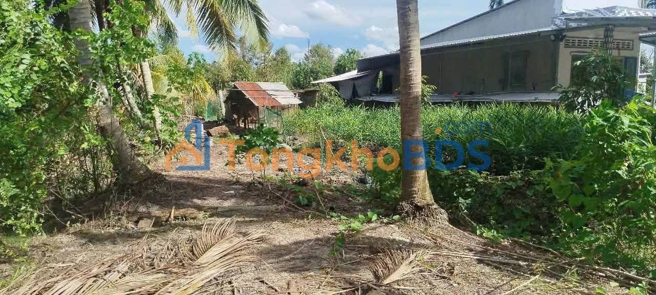 Bán Đất Nền 375m² Phong Điền, Cần Thơ - Sẵn Sổ Hồng, Giá 550 Triệu