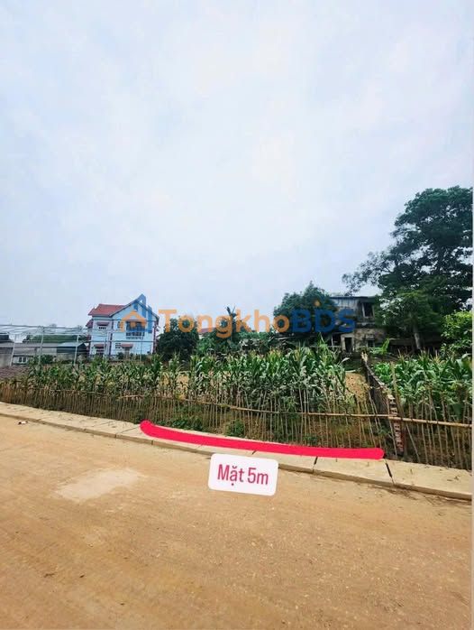 Đất nền 115m² Sổ đỏ chính chủ, gần trường học tại Chu Hóa, Việt Trì - Giá 1.4 tỷ