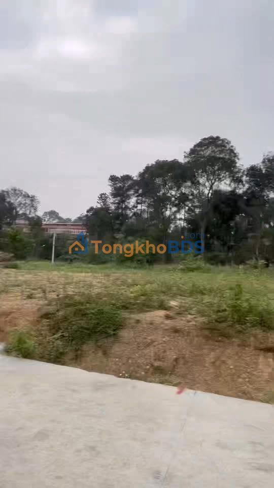 Bán Đất Phường Âu Cơ 101m² - Sổ Đỏ Vuông Vắn, Giá Đầu Tư Chỉ 7xx Triệu