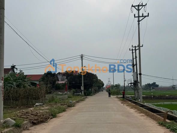 Đất nền đấu giá Xuân Lộc, Phú Thọ - 125m² full thổ cư, giá tốt