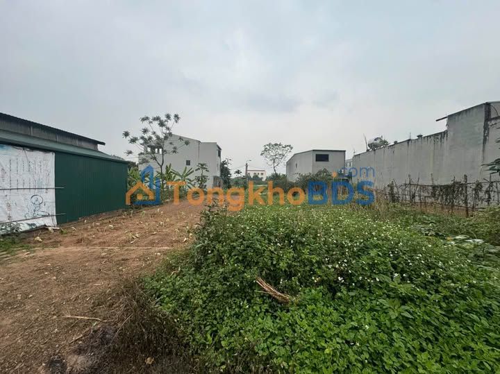 Đất nền Vị Trí Vàng KĐT Hạ Bạn, 116m², Hướng Đông Nam - Giá 2.95 Tỷ