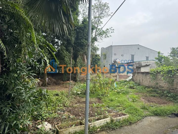 Đất nền Dữu Lâu, Việt Trì 117m² - Ngõ ô tô, gần QL nên giá tốt