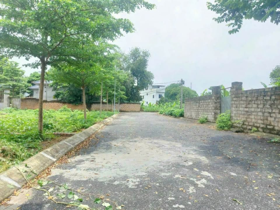 Đất nền góc 64.1m² Phúc Tiến, Phú Xuyên - Sổ đỏ sẵn, ô tô đỗ cửa