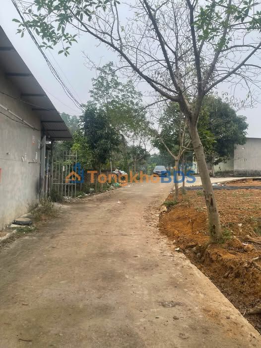Đất nền Phú Thọ 200m² - Sổ đỏ sẵn sàng, gần QL36m