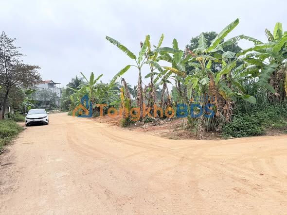 Đất nền 125m² mặt tiền kép - Tân Sơn, Phú Thọ - Giá chỉ từ 1.x tỷ