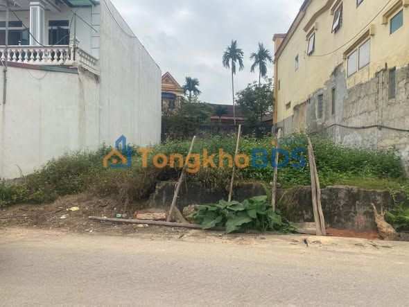 Đất Nền Mặt Tiền Lộ 77 Dị Nậu, Tam Nông - 200m² Kinh Doanh Đắc Lợi