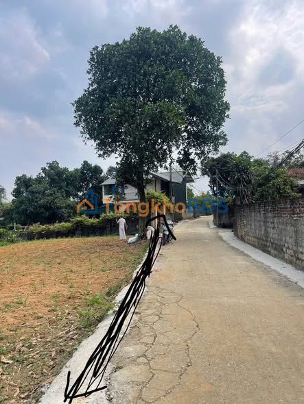 Đất nền Phù Ninh 740m² - Sổ đỏ sẵn, tiềm năng phân lô 6 ô