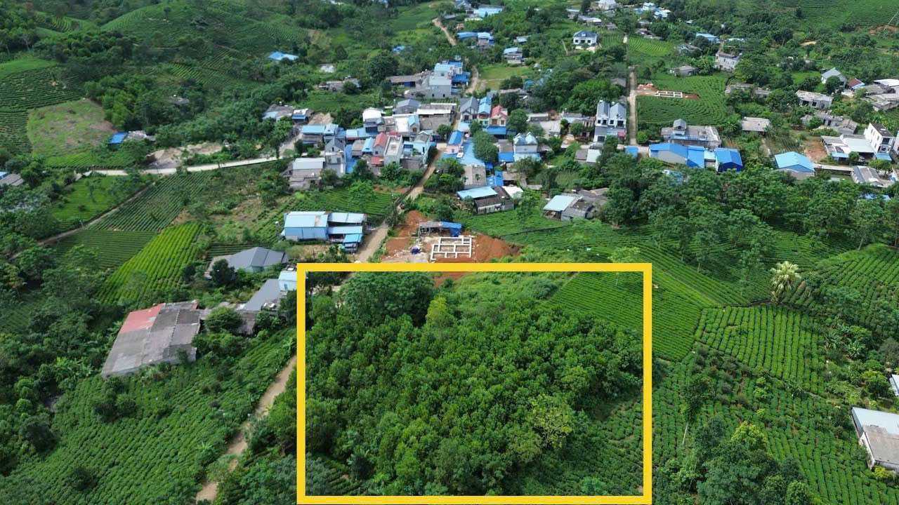 Bán đất 3600m² mặt tiền 36m, Xóm 4 Tân Linh, Đại Từ - Giá đầu tư 2.1 tỷ