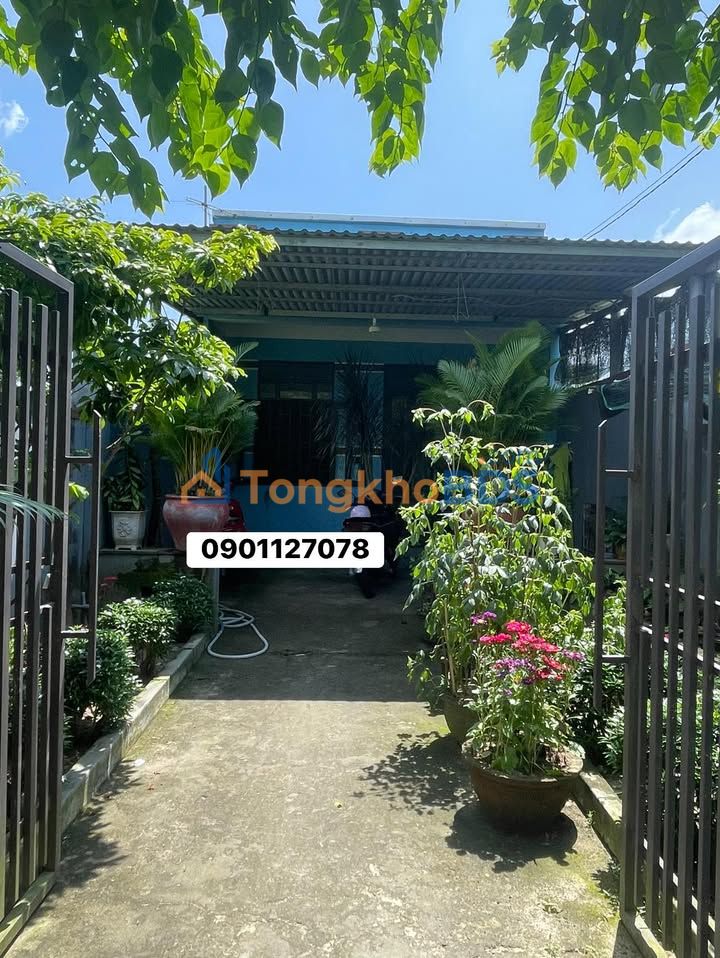 Nhà cấp 4 Điện Bàn 140m² - An cư lý tưởng, giá đầu tư chỉ 1.8 tỷ