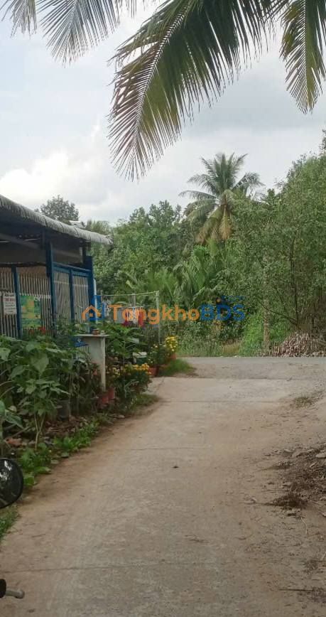 Bán Đất Cầu Kè Trà Vinh 431.9m² - Sổ Hồng Cây Lâu Năm, Giá Tốt