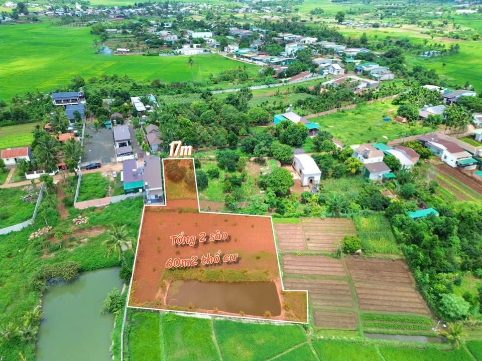 Đất 2 Sào Ea Kao - View Cánh Đồng 4.5 Tỷ - Sổ Đỏ Sẵn Sàng