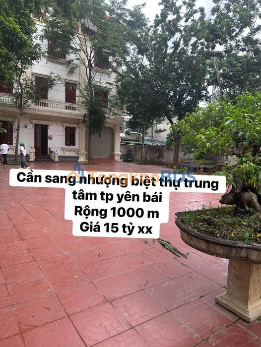 Biệt thự 1000m² trung tâm TP Yên Bái - 2 mặt tiền, 5 tầng sang trọng