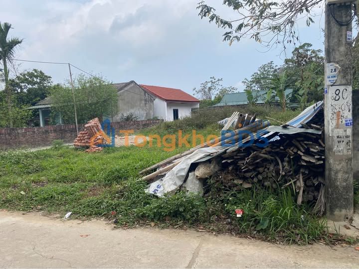 Đất nền Tam Đảo 110m² full thổ cư - Giá đầu tư chỉ 7xx triệu