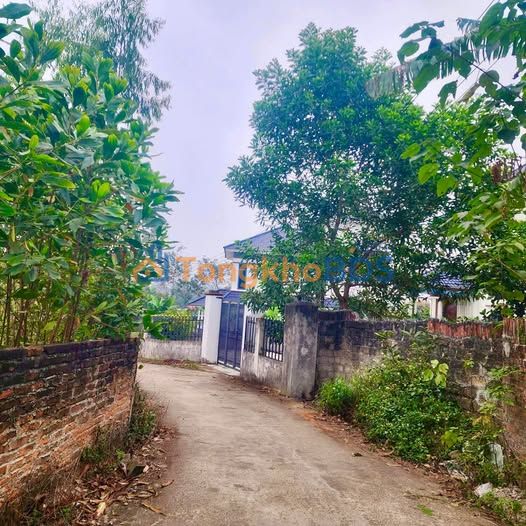 Bán Đất Vĩnh Phúc 1392m² Thổ cư 300m - Hai Mặt Tiền Tại Lập Thạch