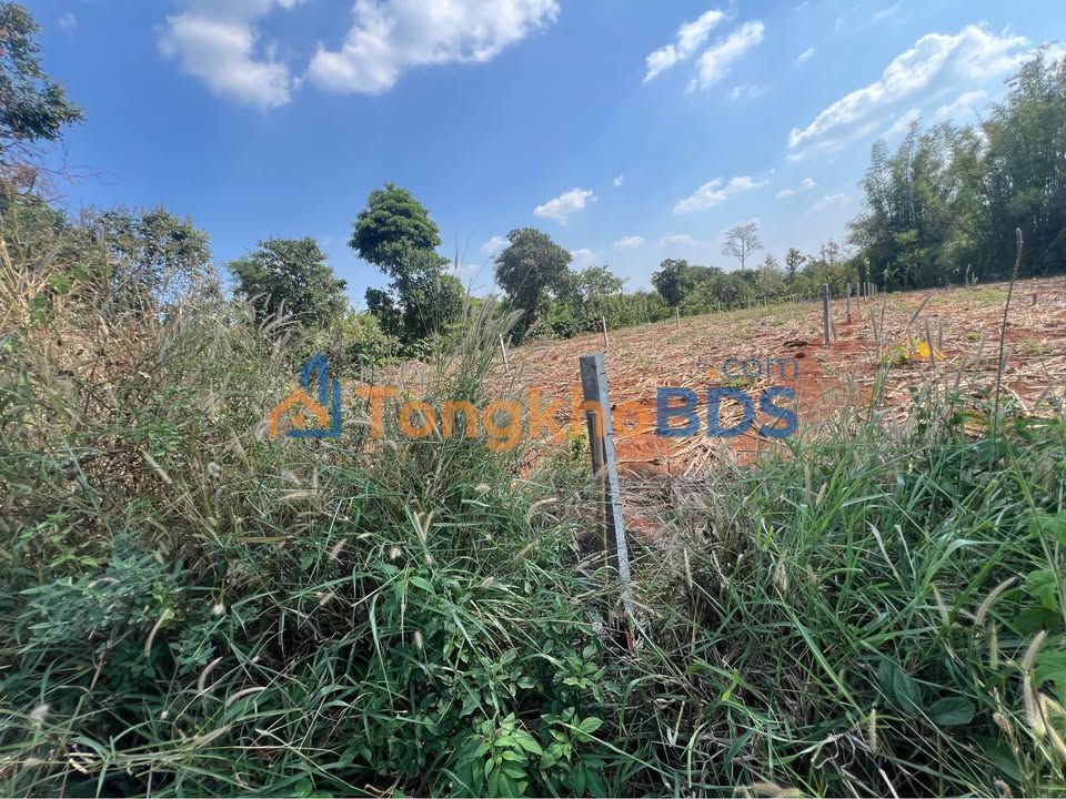 Đất Mặt Tiền Phan Huy Chú, Đăk Lăk - 450m² Thổ Cư, Hướng Bắc - Giá 3 Tỷ