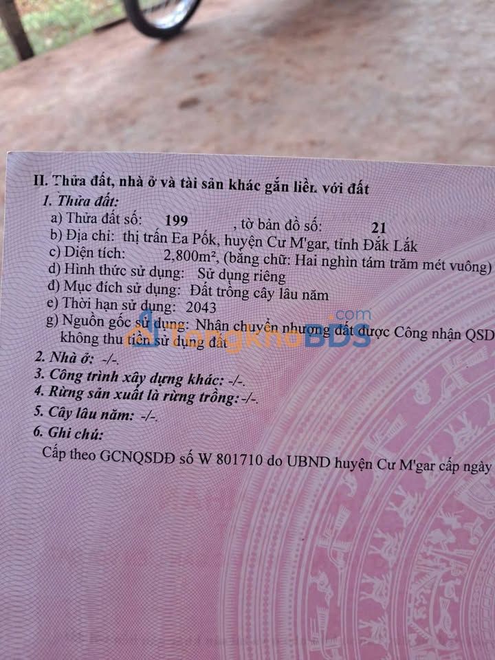 Bán Gấp Farm 2800m² Ea Pốk, Đắk Lắk - Thu Nhập Ổn Định Từ Cây Ăn Trái