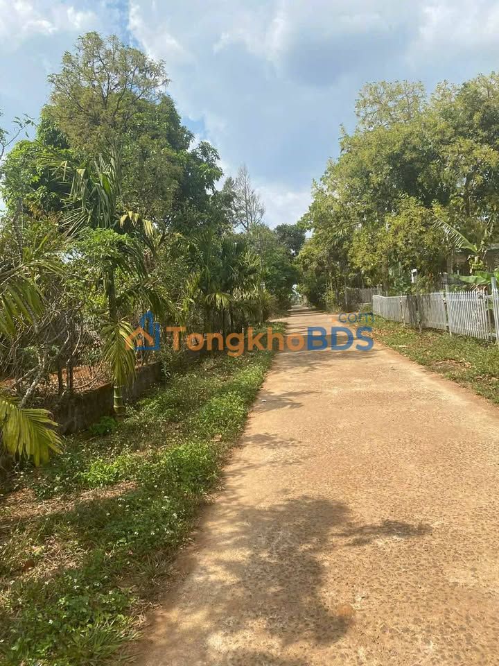 Đất Nền Ea Ktur, Đắk Lắk - 448m² Giá Đầu Tư Chỉ 3.2 Tỷ